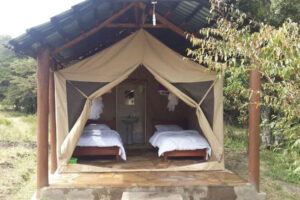Masai Mara Budget Camp